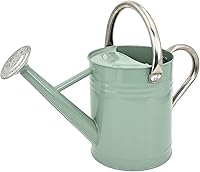Lechloris 1 Gallon Galvanized Steel Watering Can with Removable Spout - Cream Green, Rust-Proof for Indoor Outdoor Plants & Garden Decor
