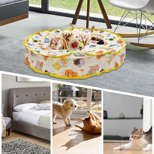 Jouet à bille roulante pour chat interactif et automatique