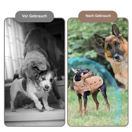 Fenayuu Stachelweste Für Hunde, Reflektierende Hundeschutzweste, Wasserdichtes Haustiergeschirr Mit Spikes, Anti-Biss-Sicherheitsanzug Für Das Training, Wandern, Spazierengehen, Outdoor