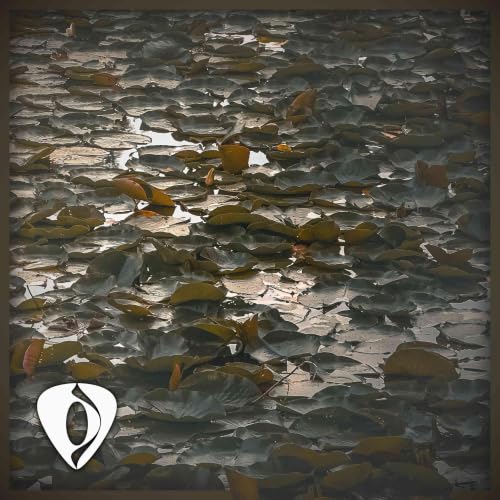 3 horas - M&uacute;sica de guitarra para la productividad &middot; Cantos de ranas - "Endless Skyway"