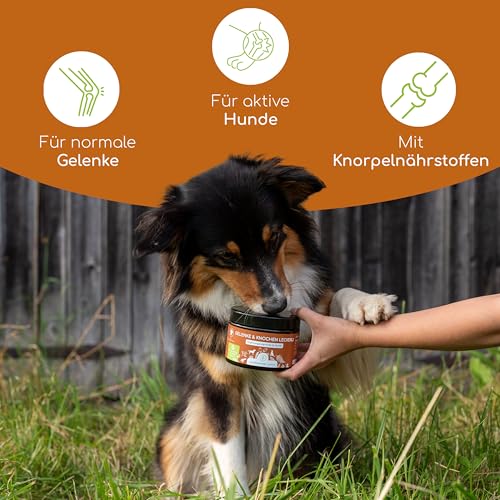 Gelenktabletten für Hunde als Snack | 140 Leckerlis mit Grünlippmuschel & MSM | Gelenkschutz, Knorpelpflege & Knochenaufbau | Natürliche Zutaten unterstützen Gelenke und Knochen