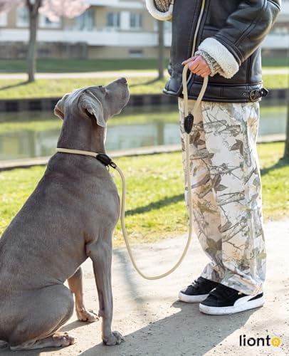 lionto Retrieverleine robust und wetterfest für Hunde Aller Größen, schnell anzulegende Hundeleine und Halsband in Einem, 170 cm, fellschonende Führleine mit integriertem Zugstopp, vegan, beige