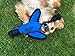 Nerf Dog Large Nylon Launching Duck with Interactive Design, Blue (3473), for All Breed Sizes