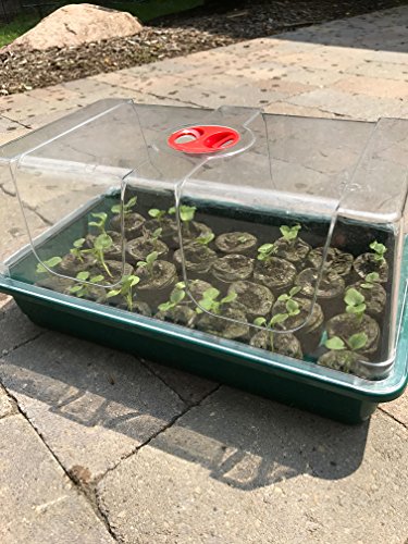 Garland Hydroponik Anzuchtset mit Hoher Kuppel G19