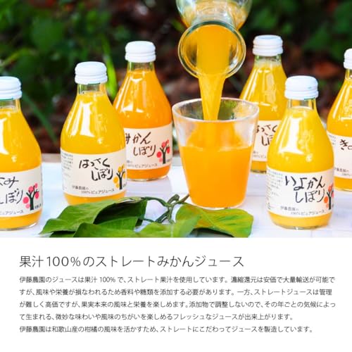 伊藤農園 [みかん ジュース スイーツ] お試し オレンジジュース 無添加 ストレート 100% 180ml 8本 有田みかん 国産 和歌山産 4枚目