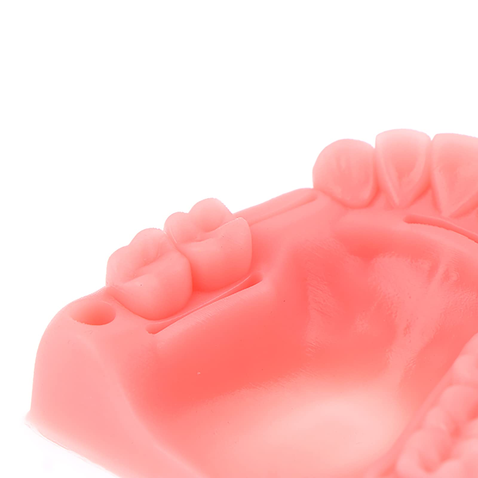 Set Di 4 Modelli In Silicone Per Sutura Dentale E Gengivale - Simulatore Di Parodontite Per Studenti Di Odontoiatria E Veterinaria - Esercitazione Realistica - 6