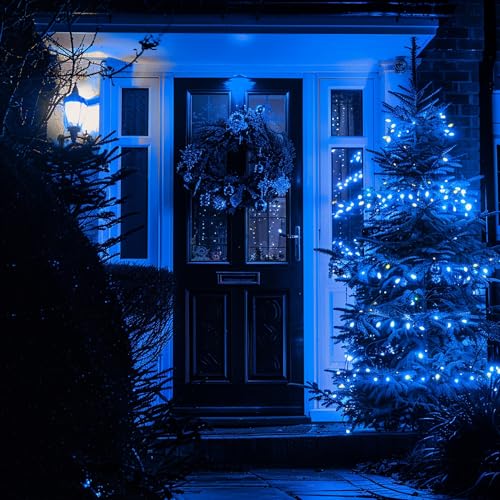 Tw Shine ZD-29V100DIF C9 Christmas Lights, 100 Led 66 Ft Christmas String Lights Outdoor thumb #2