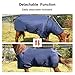 Waterproof Horse Turnout Blanket - Medium Weight Winter Blanket (220g Fill) with Detachable Neck Cover - Blue - 72 in