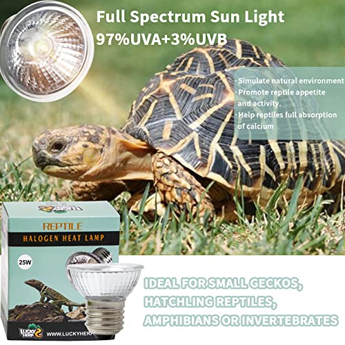 Image of LUCKY HERP 4 Pack 50W UVA UVB Reptile Light Bulbs, Heat Lamp Bulbs for Reptiles and Amphibians, Basking Light Bulb for Turtle, Bearded Dragon, Lizard Heating Use