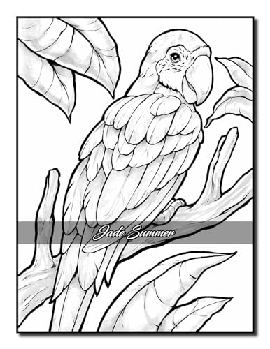 Easy Coloring Book: Large Print Designs for Adults and Seniors with 50 Simple Images of Animals, Flowers, Food, Objects, and More! (Easy Coloring Books) - Image 21