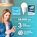 Sengled Alexa Light Bulb, S1 Auto Pairing with Alexa Devices, Warm Smart Light Bulbs, Bluetooth Mesh Smart Home Lighting, E26 60W Equivalent, 800LM, 1-Pack