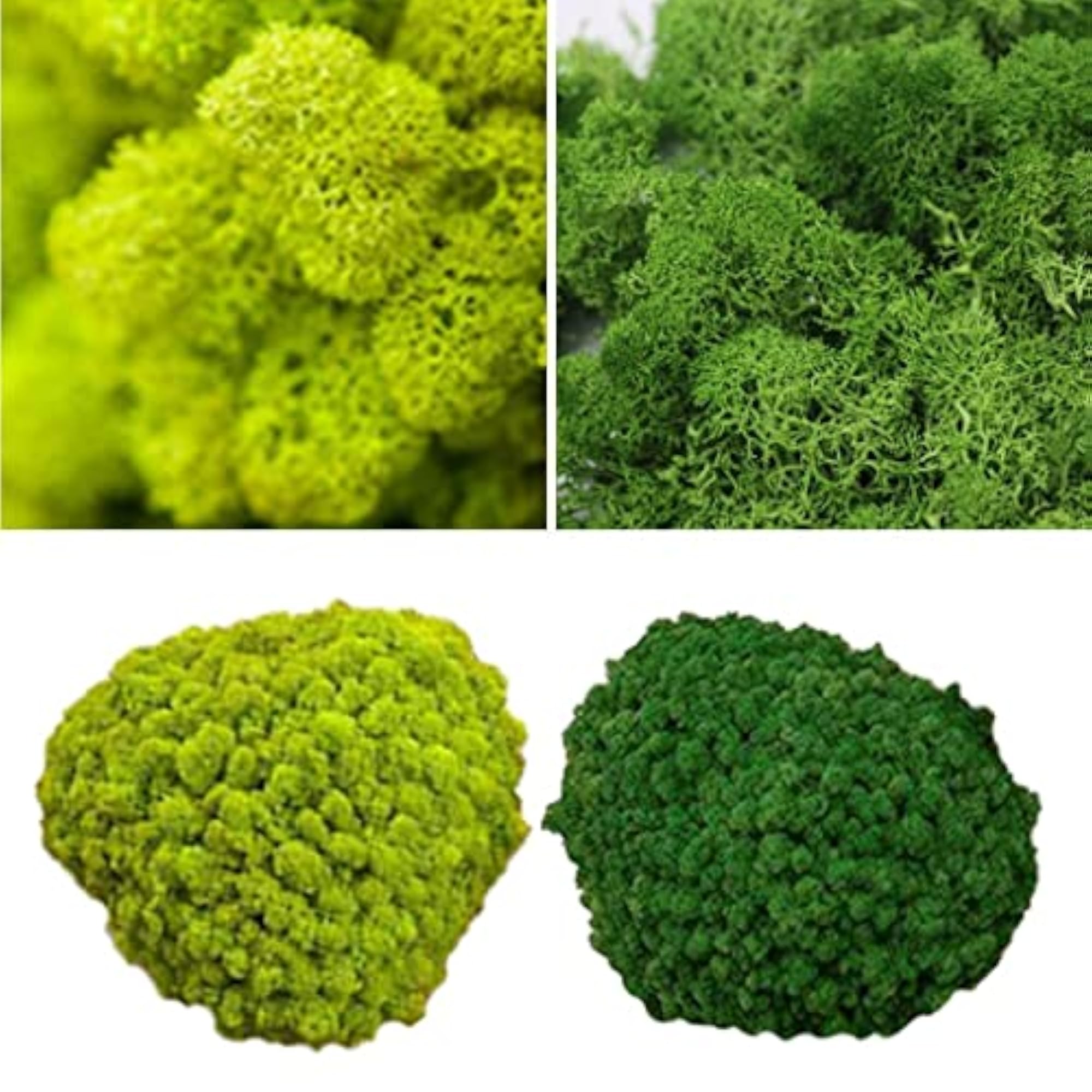 25g Simulation Moss Balls for DIY Garden Decor