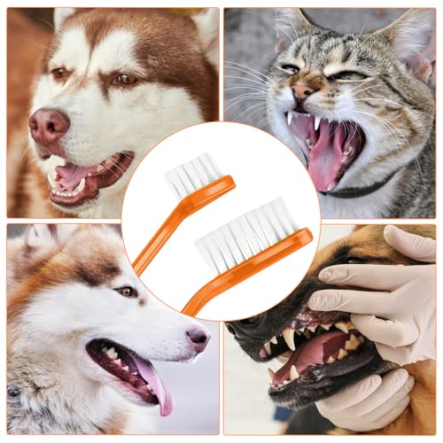 Image of oruola 12Pcs Dual Headed Dog Toothbrush,Toothbrush for Dogs Small Breed,Dental Hygiene Soft Toothbrushs to Clean Pet Teeth,Dog Tooth Brush for Small to Large Dogs, Cats and Most Pets, 12 Color