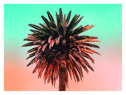 Komar Palm Tree Wall Picture Poster Picture Living Room Bedroom Decoration Art Print Without Frame Available in 3 Sizes
