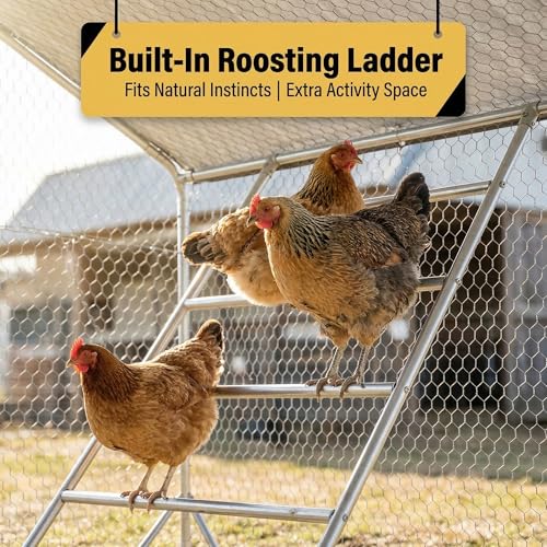 Image of CHIKENCOOP 9.8 x 6.5 x 6.5 ft Metal Chicken Coop, Chicken Run with Cover