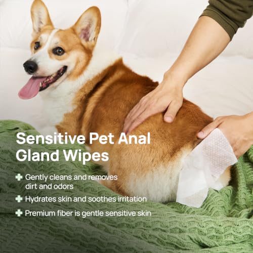 Image of HICC PET Rear-End & External Anal Area Cleaning Deodorizing Wipes for Dogs & Cats, Hydrating & Nourish Fur Dog Grooming Wipes for Daily Cleaning, 75 Counts