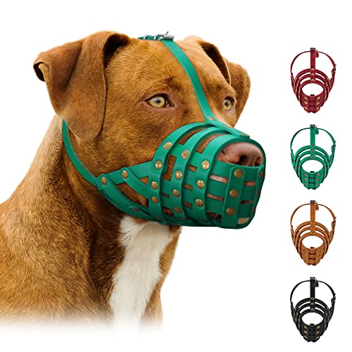 Best Muzzle For Bull Terrier