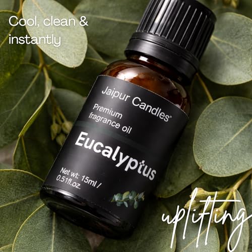 Image of Fragrance Oil | 15 ml | Aroma Oil for Home Fragrance | Best for Aromatherapy | Use in Diffusers, Candles, Air Fresheners (15ML, Eucalyptus)