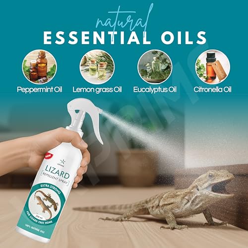 Image of VRPRIME Lizard Repellent for Home Spray Pest Control | Made with Plants Oil, Natural Non Toxic, Irritant-Free, Chemical-Free | Baby Safe Plant Safe (250 ML) (Peppermint) (Pack of 4)