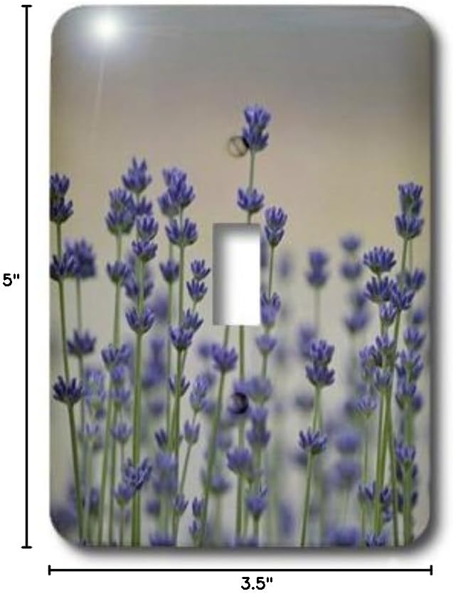 3dRose lsp_54458_1 Field Of Lavender Flowers Spring Floral Print Single Toggle Switch