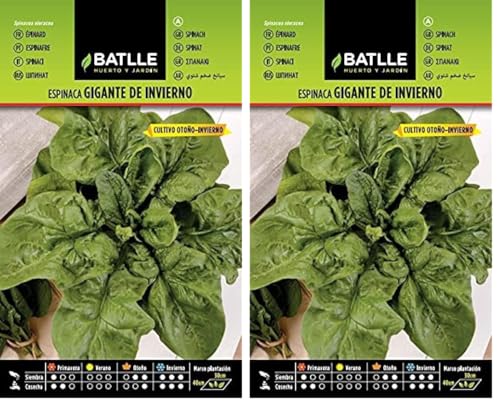 Semillas Batlle Espinaca GIGANTE DE INVIERNO (Paquete de 2)