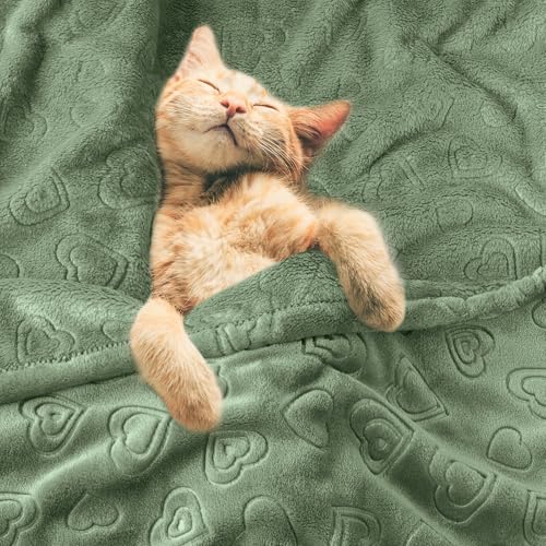 Image of BORITAR Baby Blanket with Heart Design for Girls Ultra Soft Fleece Warm and Lightweight Blankets for Infant Toddler Newborn, 30x40 Inch, Olive Green