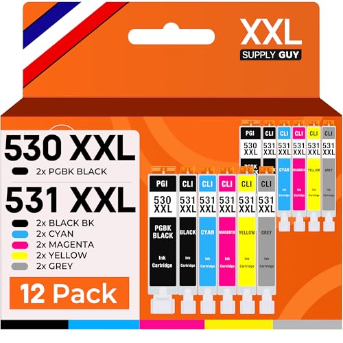 Cartouches PGI-530 CLI-531 XXL haute capacité pour Canon TS8750 Lot 12