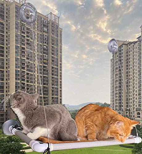 Window-Mounted Cat Perch for Large Cats - Enjoy the View in Comfort
