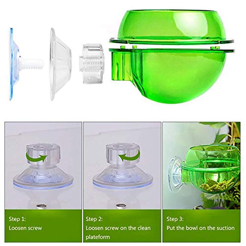 Tfwadmx Chameleon Bowl, Reptile Feeding Feeder,Worm Live Fodder Container, Water Dish Gecko Ledge Suction Cup Feeder… - Image 3