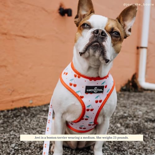Lucy & Co. Cheery Cherries, niedliches wendbares Hundegeschirr, Spazierengehalfter, beste Designer-Haustiergeschirre für XS-XL, gepolsterte, verstellbare Weste für einfaches Spazierengehen, Größe L
