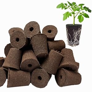 TEZKOLES 50 Pack Round hydroponic Growth Sponge, Suitable for Indoor and Outdoor hydroponic Gardens, Seed Germination, Plant Rooting, Vegetable Cultivation, Flower Arrangement