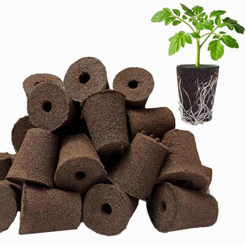 TEZKOLES 50 Pack Round hydroponic Growth Sponge, Suitable for Indoor and Outdoor hydroponic Gardens, Seed Germination, Plant Rooting, Vegetable Cultivation, Flower Arrangement
