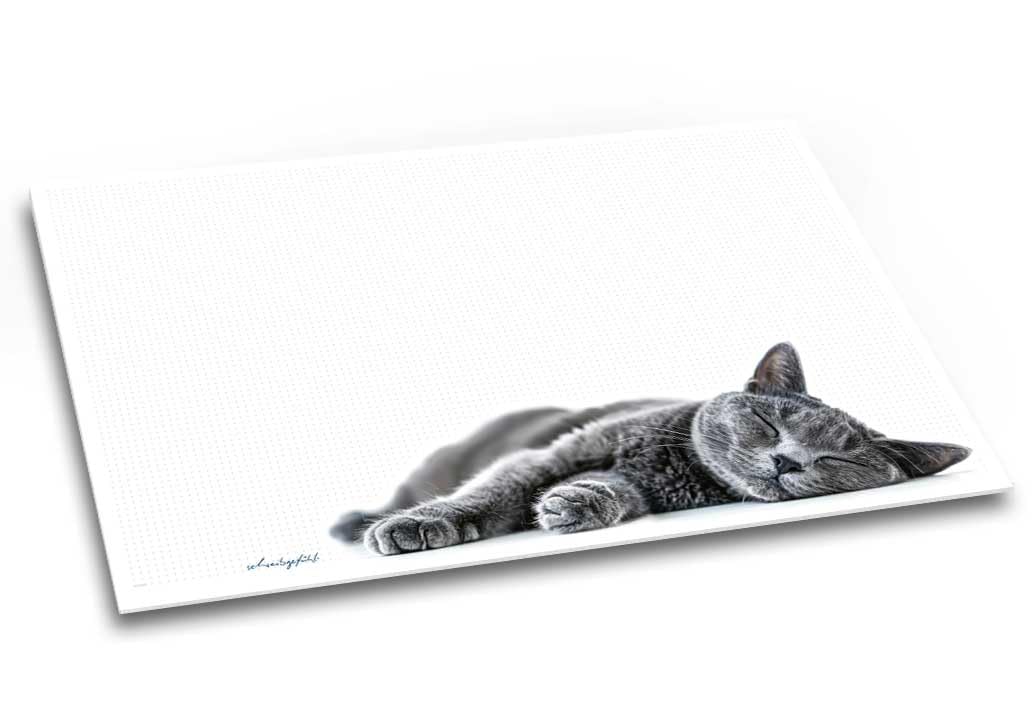 Samtpfote Schreibtischunterlage Katze Katze weiß grau kariert, beschreibbar, DIN A2