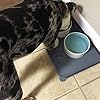 Hoki Found -Waterproof Pet Feeding Mats with High Lips - Multiple Size and Colors for Dogs, Cats & Others-G #4