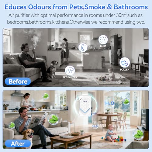 QWUE Mini Ionic Air Purifier - image 6