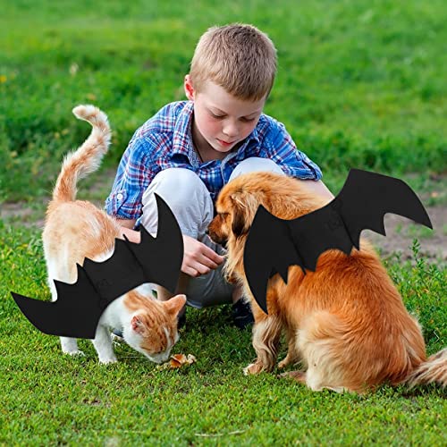 Crewell Fledermaus Kostüm für Katzen & Hunde, Schwarz, Filz, Größe 36 cm, Halloween