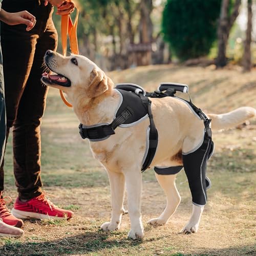 Image of Dog ACL Knee Brace for Torn ACL & Luxating Patella-Adjustable Leg Support with Sufficient Wrapping and Support, Non-Slip Joint Brace for Dogs, Pain Relief & Better Recovery-Left Leg-L
