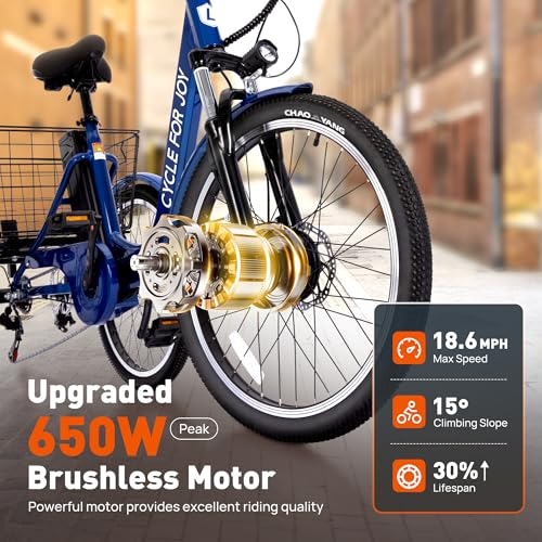 24″ Electric Trike，Electric Tricycle for Adults, 350W(Peak