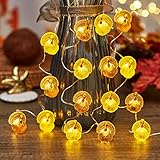 JASHIKA Thanksgiving Turkey Lights Fall Harvest Decoration Fall Lights Autumn 3D Turkey 8.5ft 20 LED Copper Wire USB or Battery Operated Fairy String Lights Indoor Covered Outdoor with Remote Control