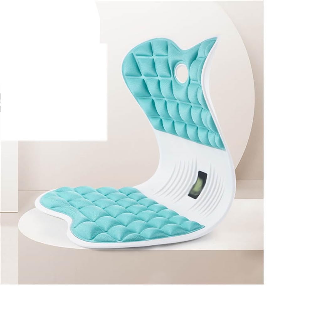 Coussin de Protection Lombaire Capital orthopédique Orthèse de Dossier Anti-bossu