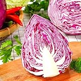 semillas de col lombarda variedad temprana - jardín rocas resistentes balcón antiguas 100pcs