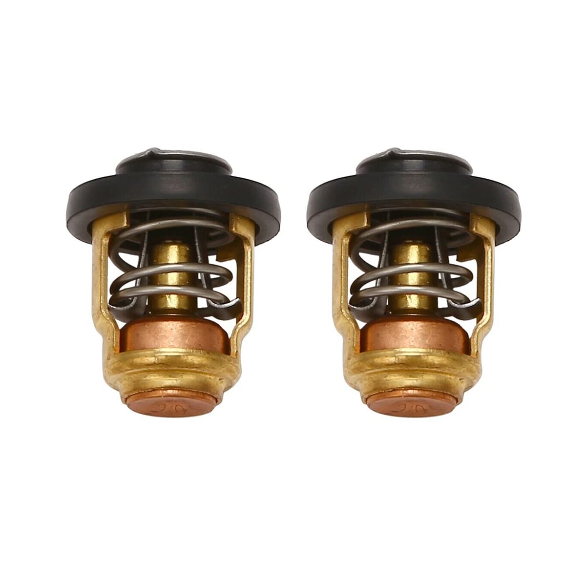 ANP PUAUTO2Pcs Boat Motor Thermostat Valve Thermostat Kit Compatible with YAMAHA Outboard Motor Replace 6E5-12411-00