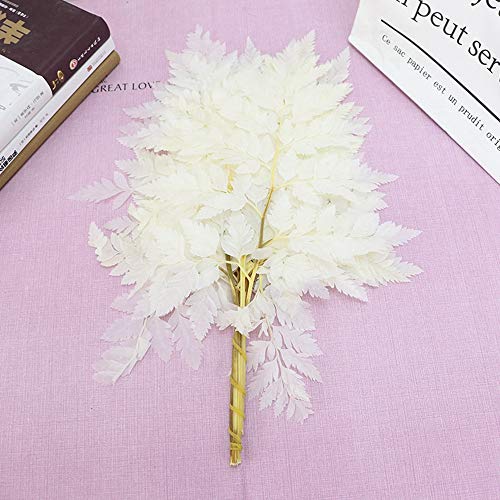 MinLia 10PCS Artificial Boston Fern Bush Plant,Pretty Fiddlehead Ferns,Dry Natural Fresh Preserved Plant,Eternal Dried Arachniodes Leaves(White)