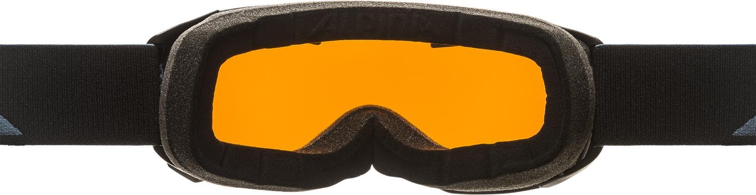 ALPINA Skibrille Lunettes de Ski Unisexe