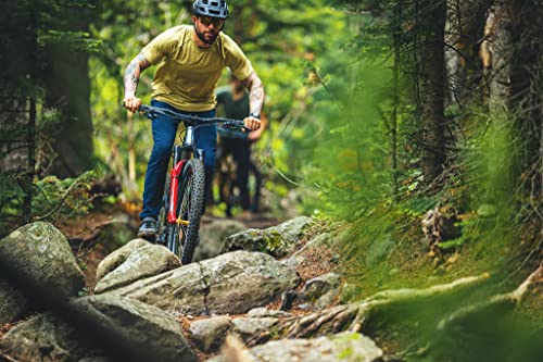 American Classic Mountain Bike Tire, Tectonite Tubeless Ready Bicycle Tire, 29 X 2.5, 27.5 X 2.5, Front Tire (29X2.5, Tectonite- Trail) #TOP5