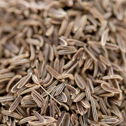 _˃A[eB[ LEFCV[h 5kg (1kg×5) Caraway Seed LEFC z[ Whole V[h  XpCX