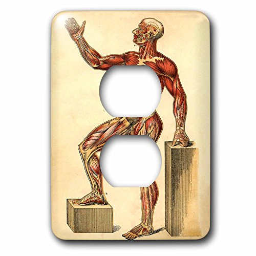 Placa de interruptor de enchufe doble con dibujo de músculos de hombre vintage modelo LSP_203700_6 3