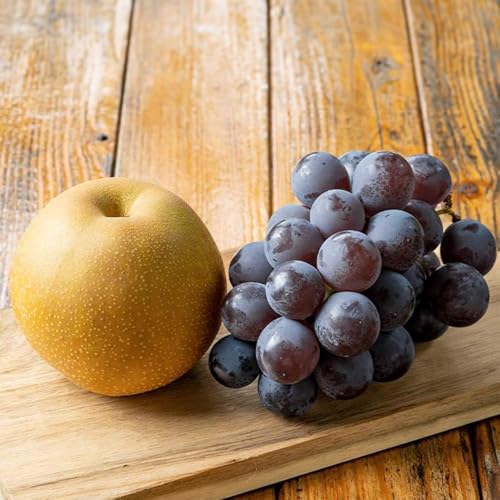 [2026年・先行予約] 和歌山有田の朝採り 巨峰1kgと梨1kg 合計2kg セット