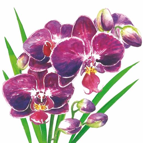 Serviettes en papier Orchidea Paperproducts Design de qualité supérieure triple épaisseur