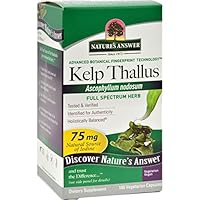 Algopix Similar Product 15 - Kelp Thallus